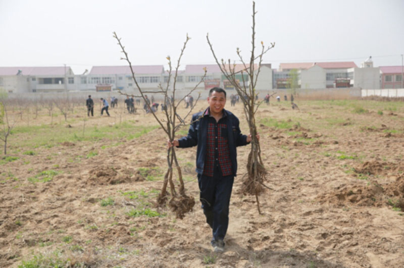 大方重機(jī)黨員干部帶頭開展春季植樹活動(dòng)